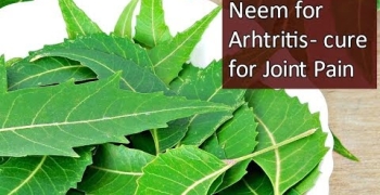  Neem for Arthritis | Cure for Bone & Joint Pain | Home Remedy (English Subtitles)